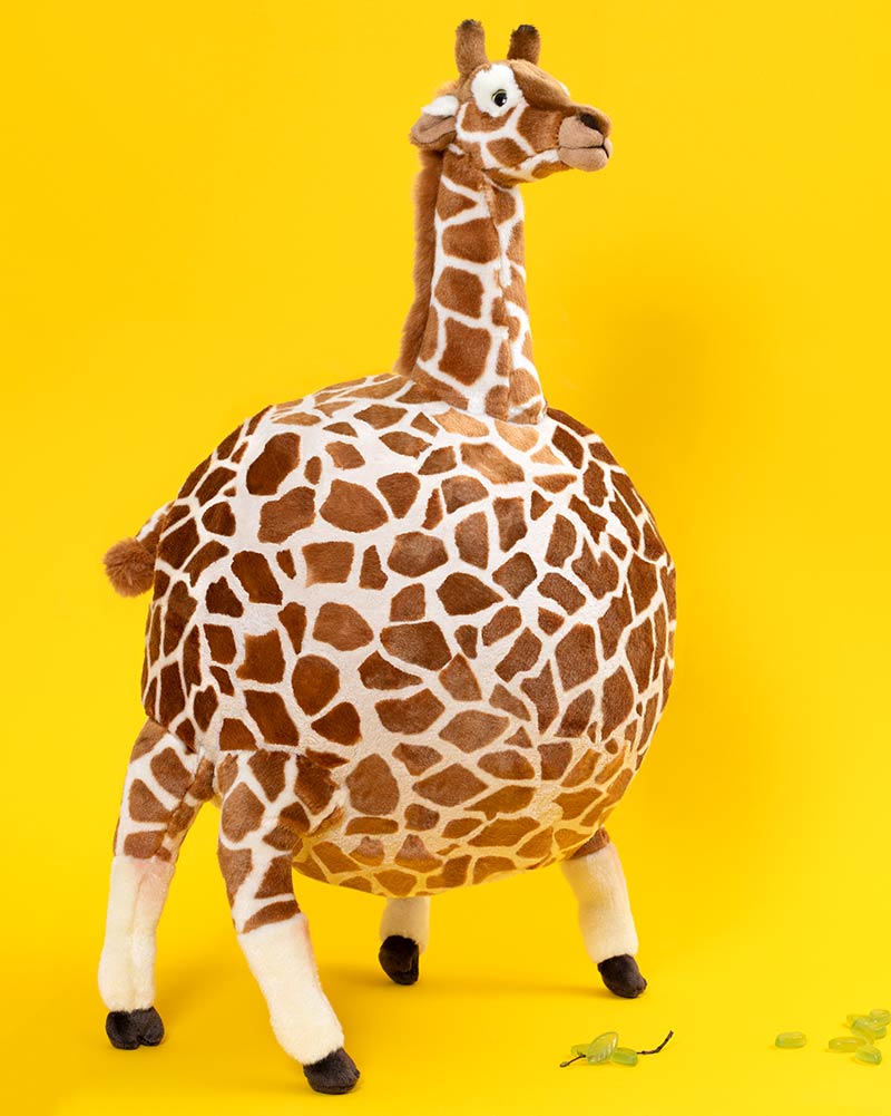 giraffe start